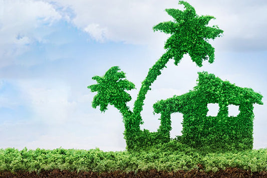 The Environmental Impact of Disposable Face Towel and Traditional Cotton Towel - Fancyou