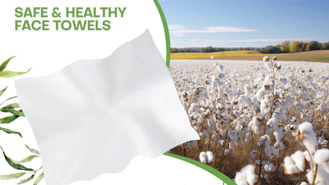 Comparing Compressed Towels to Traditional Towels  Which One Should You Choose - Fancyou